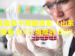 菏泽造血干细胞表彰（山东造血干细胞 🐈 捐献的 🦆 待遇）